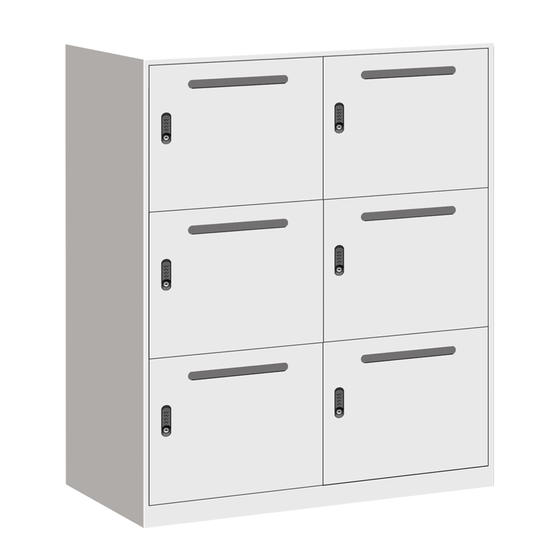 Mail Slot Locker
