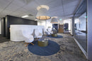 Lifestyle: Delphi Plus in-situ
