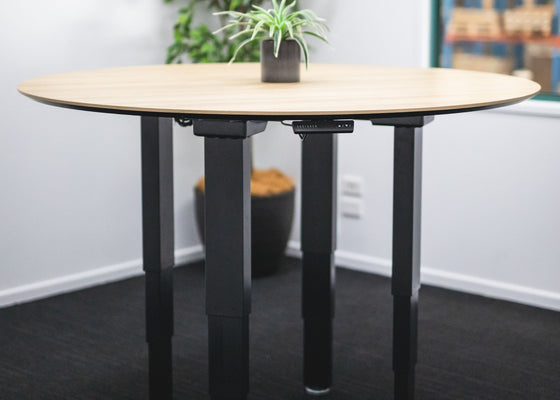 Custom Electric Adjustable Desk Frame