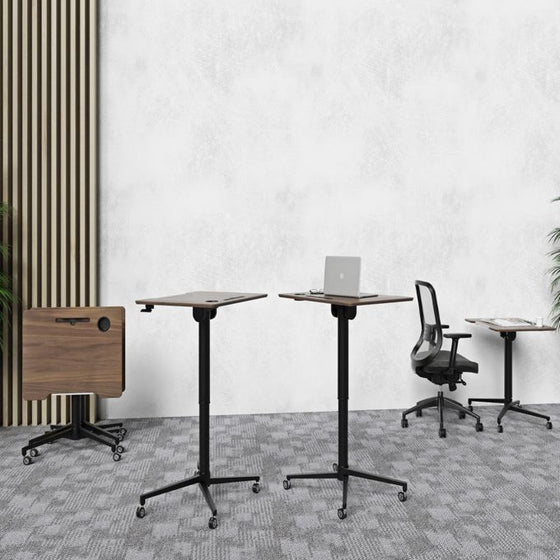 Mobile Lift & Fold Table