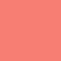 Salmon Shell