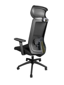 Ralui Task Chair