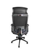 Ralui Task Chair