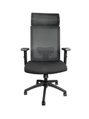 Ralui Task Chair