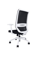 Win Task Chair