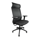 Ralui Task Chair